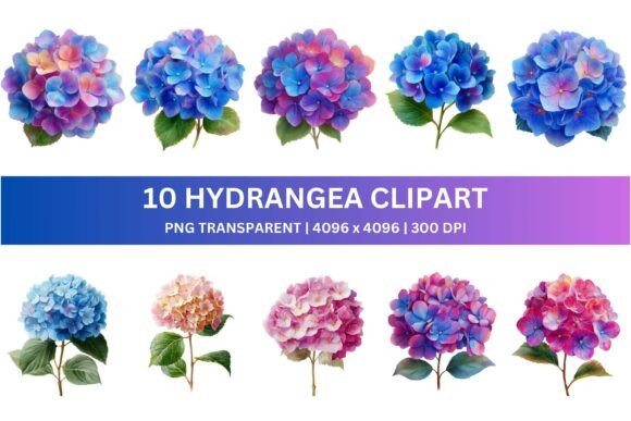 10 Watercolor Hydrangea Clipart: Elevate Your Design Projects
