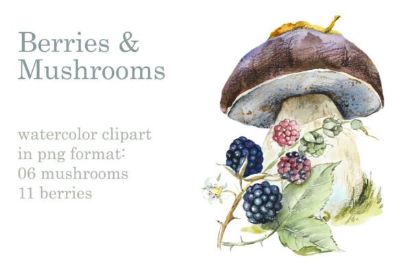 Berries & Mushrooms Clipart: Handcrafted Visual Assets for Modern Design