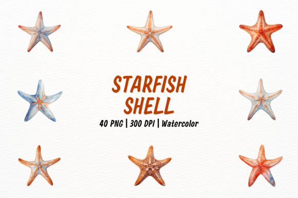Elevate Marine Designs with Realistic Starfish and Shell Clipart