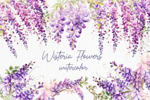 Elevate Your Designs with Watercolor Wisteria Clipart