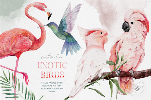 Vibrant Watercolor Exotic Birds for Creative Projects